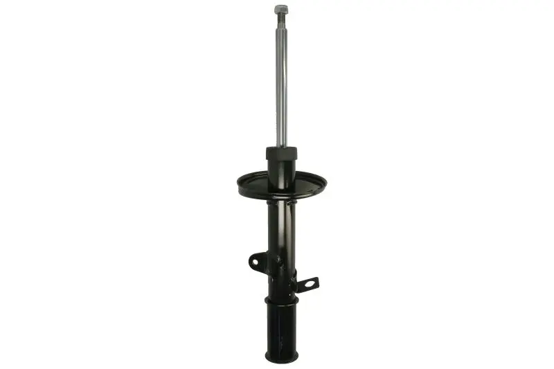 Amortyzator zawieszenia TRW AUTOMOTIVE – JGM5012SL