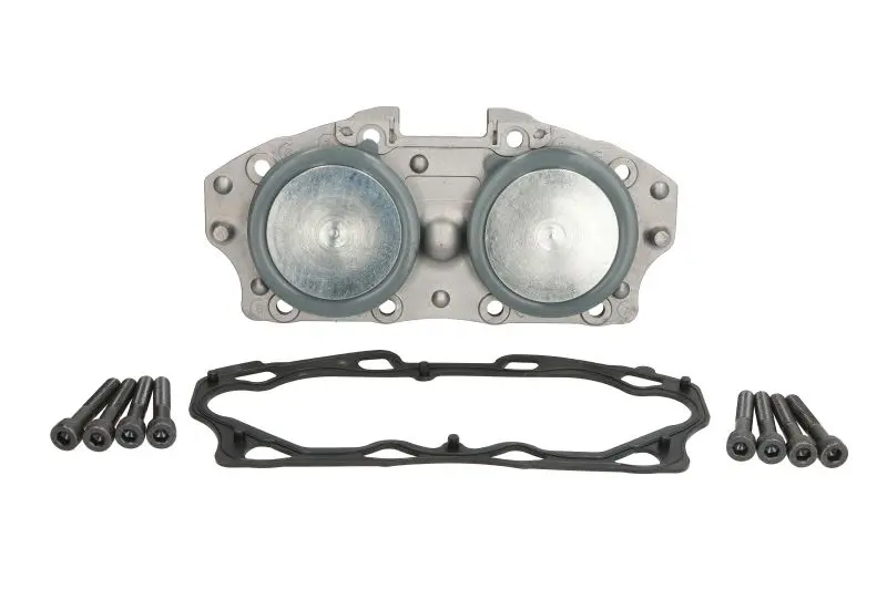 Zestaw naprawczy zacisku hamulcowego przód/tył L/P (kompletny środek) MERITOR ELSA 225 SBP – MRK-308