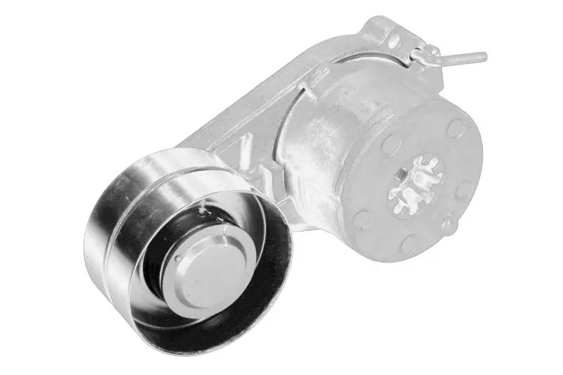 Napinacz paska wielorowkowego RVI – RVI7421983653