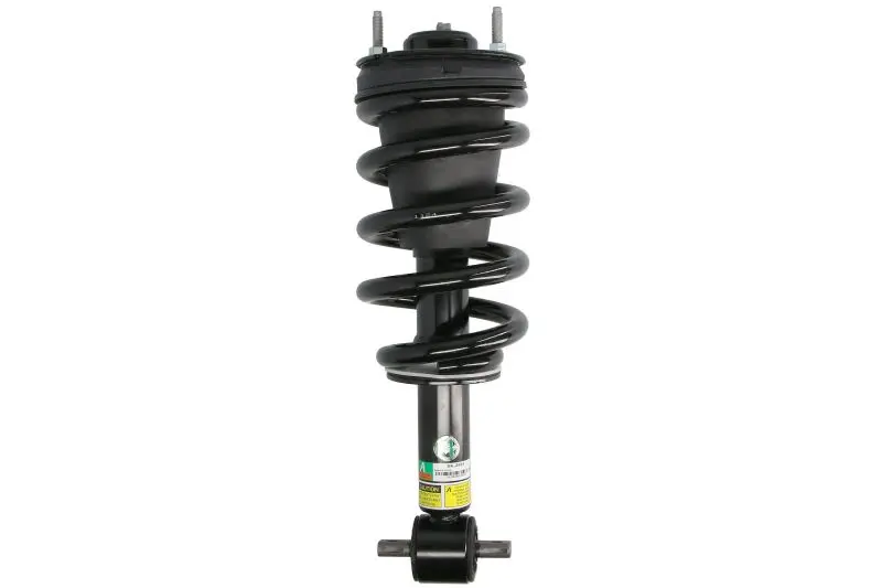 Amortyzator zawieszenia ARNOTT EUROPE – SK-2954