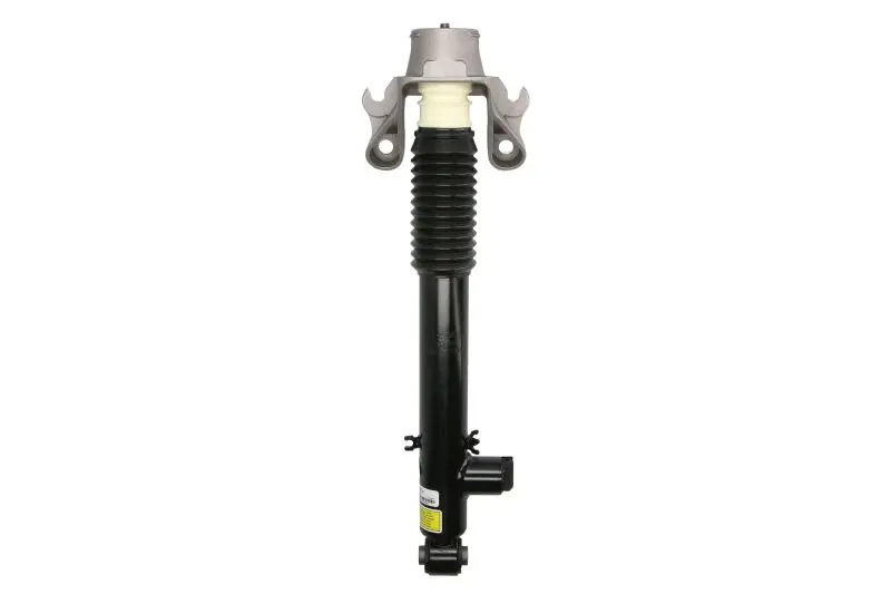 Amortyzator zawieszenia ARNOTT EUROPE – SK-3310
