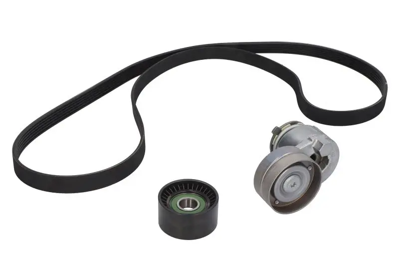 Zestaw pasków wielorowkowych (z rolkami) SKF – VKMA 36038