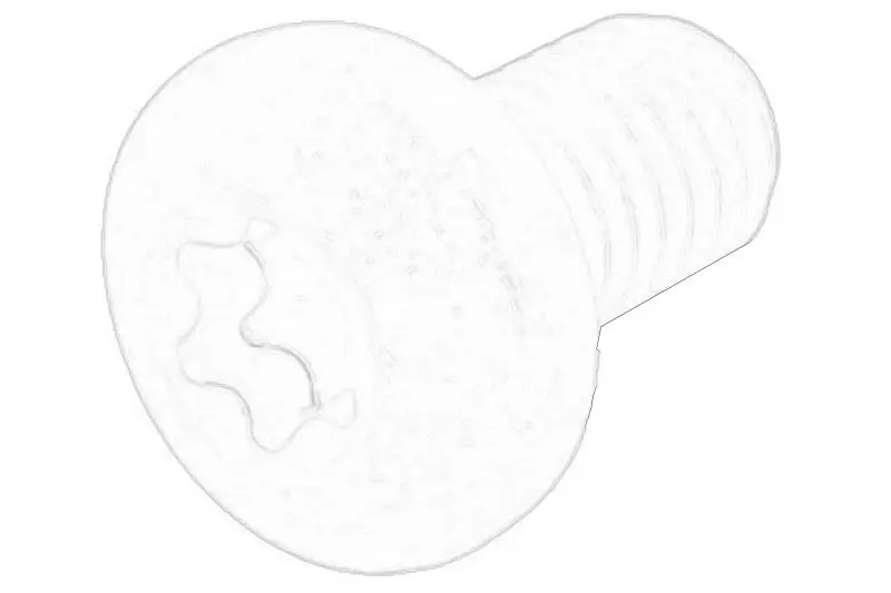 Stopień kabiny śruba mocowania FORD TRUCKS – W505541S450N