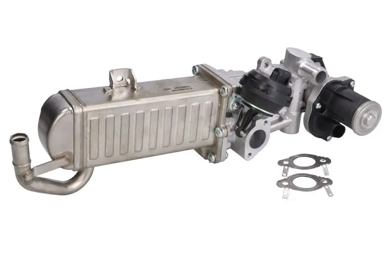 Zawór EGR (moduł z chłodnicą) BORG WARNER – WA710861D/1