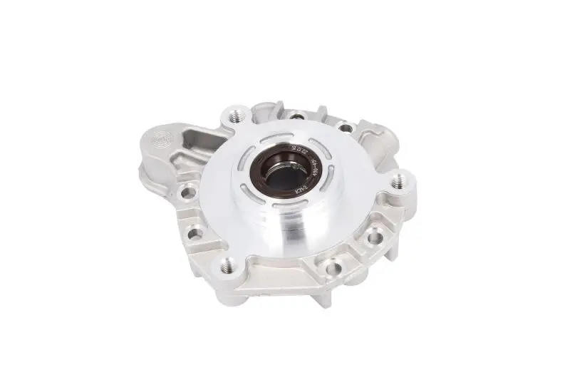 Zestaw naprawczy pompy CR VDO DIESEL – X39-800-300-021Z