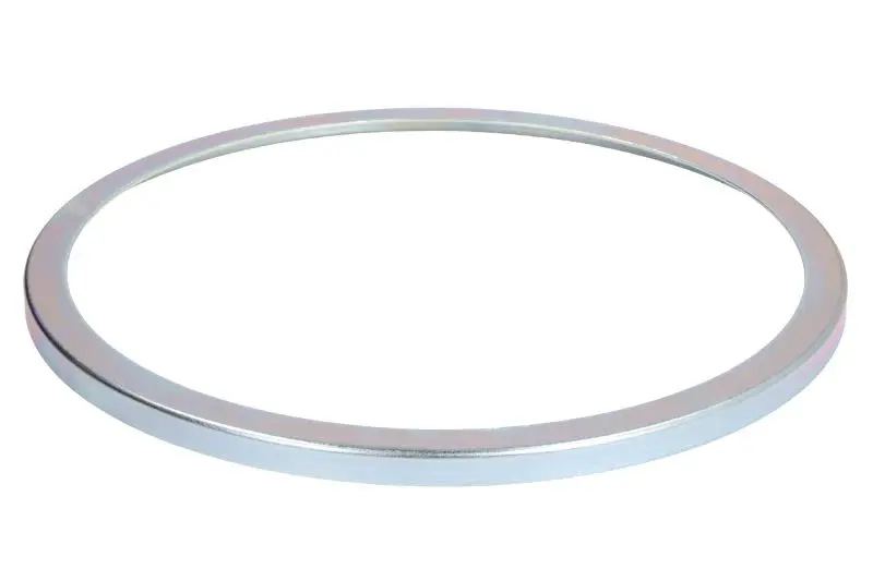 Element mostu (pierścień) DANA SPICER – 000.216220.001-DS