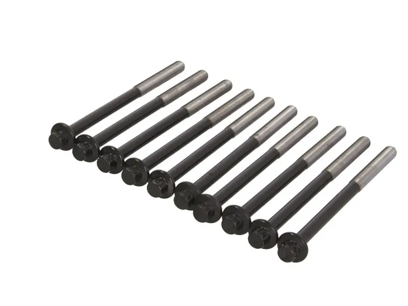 Zestaw śrub głowicy cylindrów REINZ – 14-10174-01