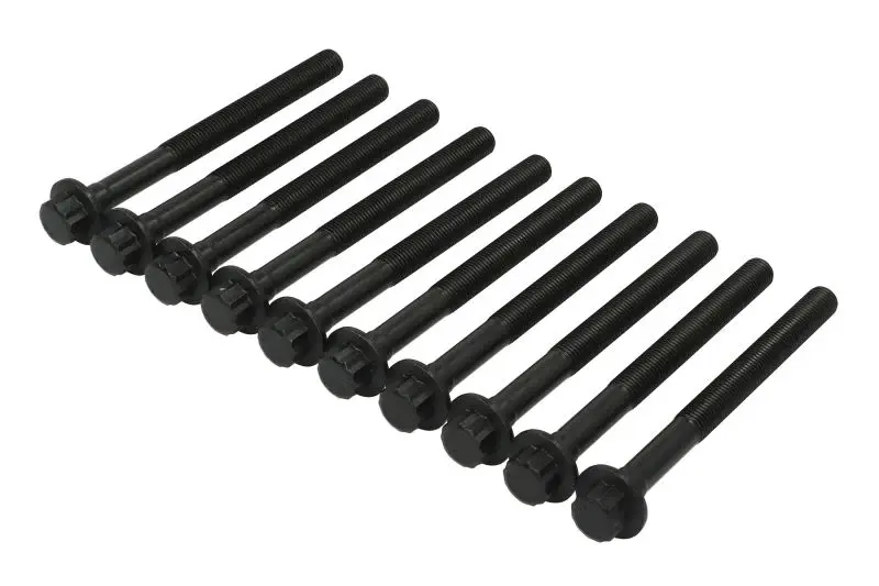 Zestaw śrub głowicy cylindrów REINZ – 14-11540-01