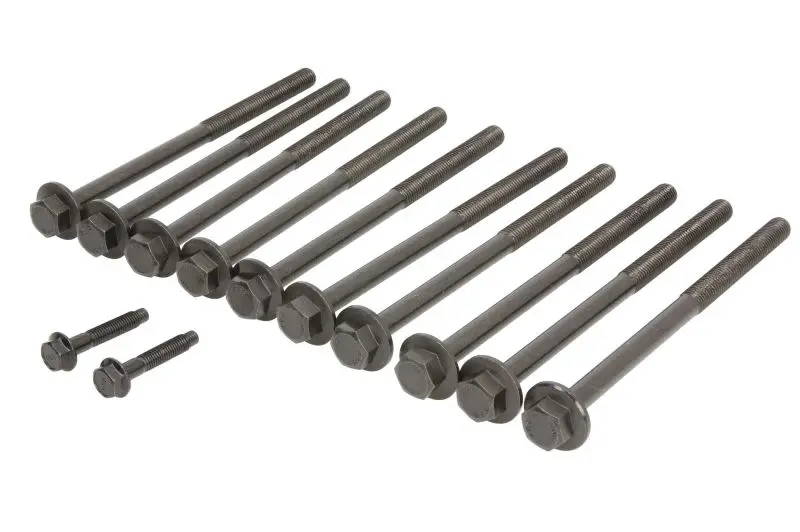 Zestaw śrub głowicy cylindrów REINZ – 14-11649-01