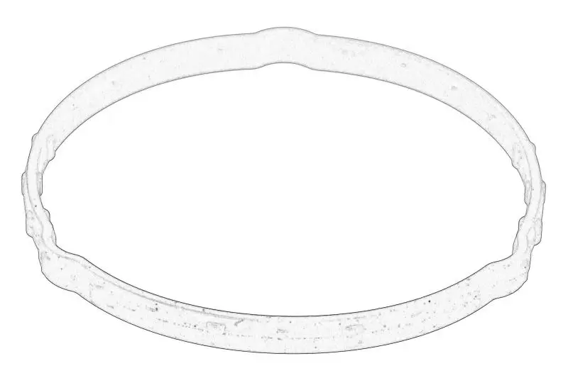 Uszczelka obudowy termostatu HYUNDAI – 2562008000