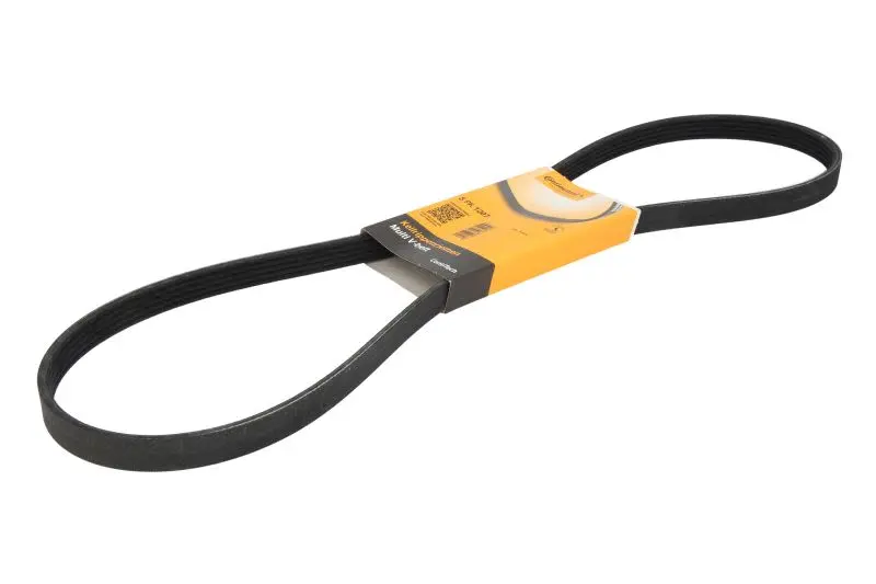 Pasek wielorowkowy (5PK1207) CONTITECH – 5 PK 1207