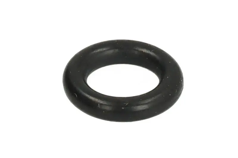 Oring skrzyni biegów FPT – 561293-FPT
