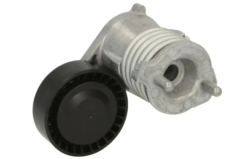 Napinacz paska wielorowkowego DAYCO – DAYAPV3019