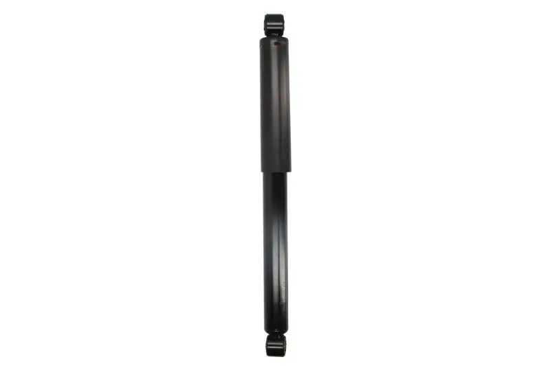 Amortyzator zawieszenia EVOLUTION – V911299AT