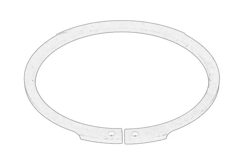 Pierścień tarczy wyciskowej AGCO – X530209700000-AGCO