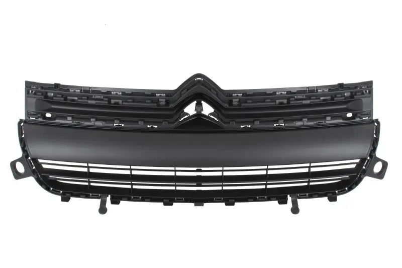 Atrapa (certyfikat CZ) BLIC – 6502-07-0554990Q