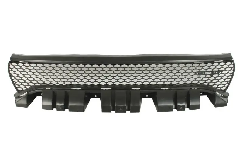 Atrapa (SRT) BLIC – 6502-07-0932997P