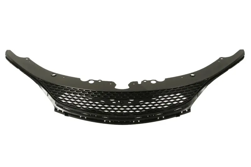 Atrapa (czarny) BLIC – 6502-07-0942990P
