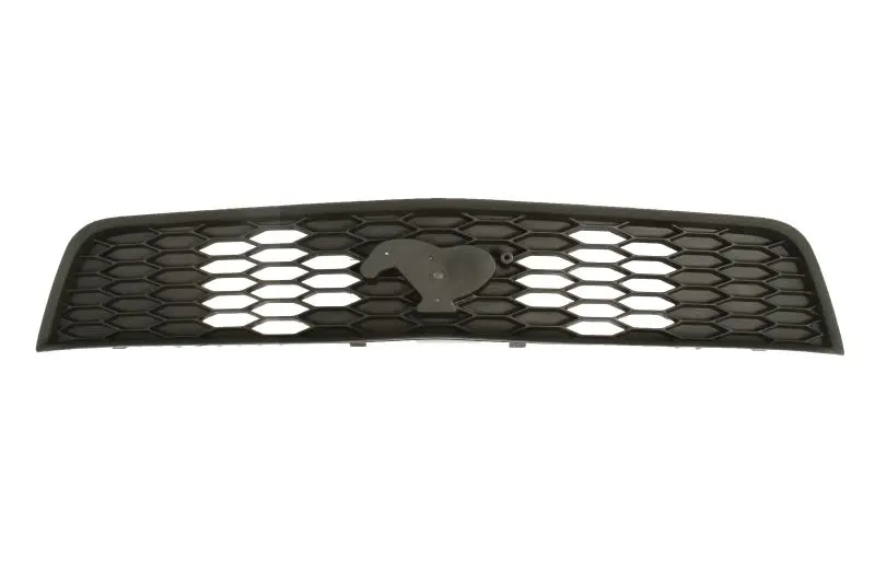 Atrapa (czarny) BLIC – 6502-07-2585992P