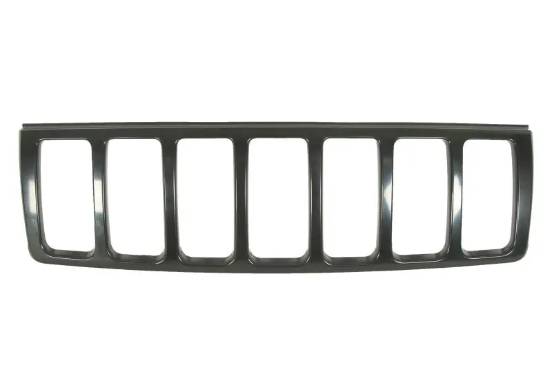 Atrapa (czarny) BLIC – 6502-07-3205990P