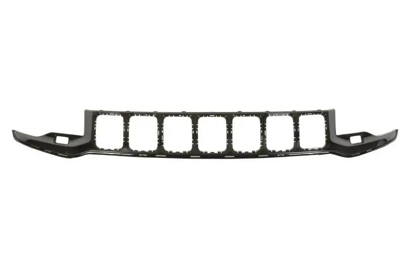 Atrapa (czarny) BLIC – 6502-07-3207901P
