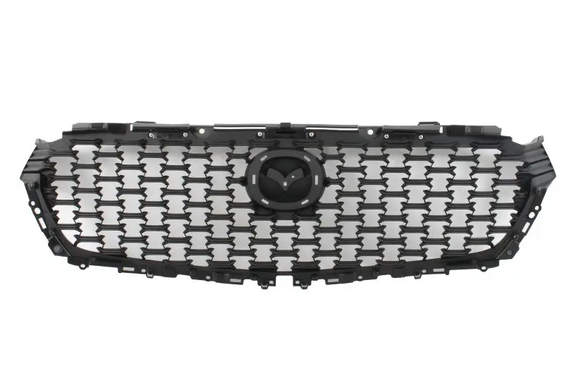 Atrapa (czarny) BLIC – 6502-07-3460992P