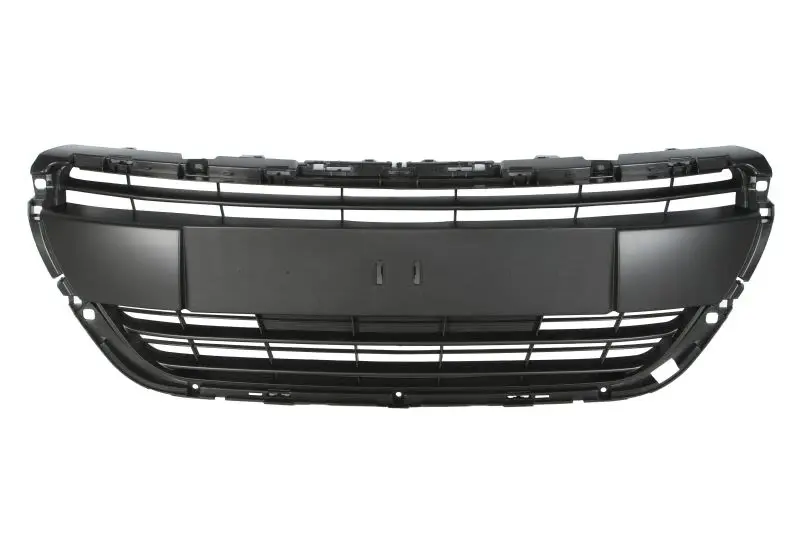 Atrapa (czarny) BLIC – 6502-07-5509992P