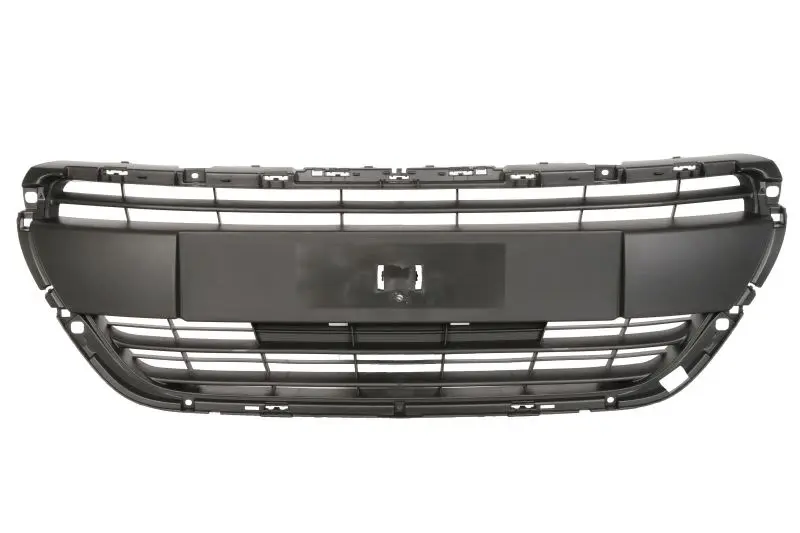 Atrapa (czarny BLIC – 6502-07-5509992Q