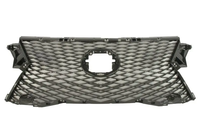 Atrapa (F-SPORT) BLIC – 6502-07-8123990P