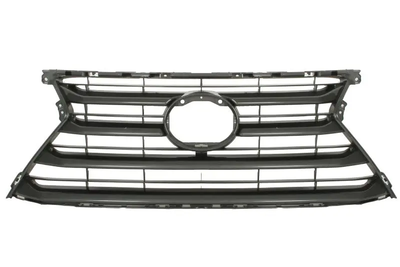 Atrapa BLIC – 6502-07-8166993P