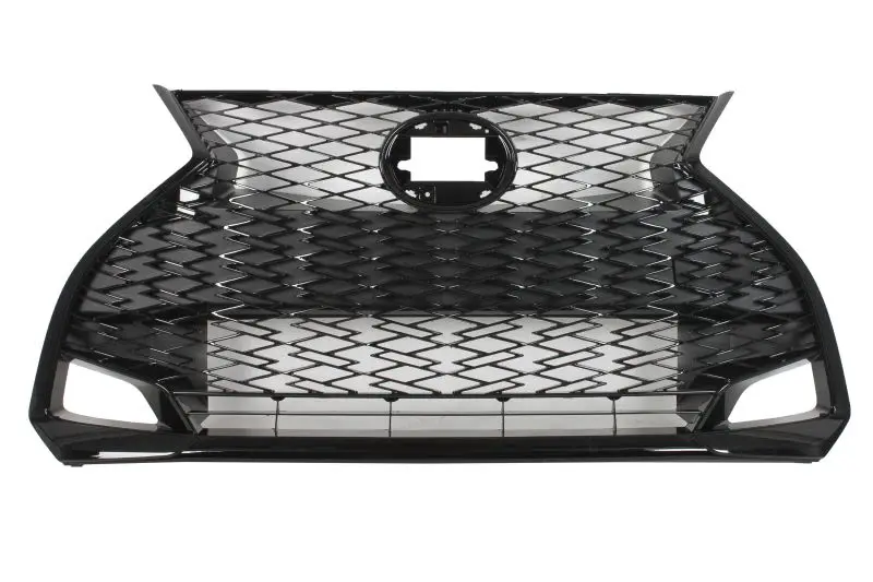 Atrapa (F-SPORT) BLIC – 6502-07-8173992P