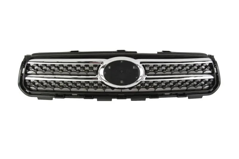 Atrapa BLIC – 6502-07-8179991P
