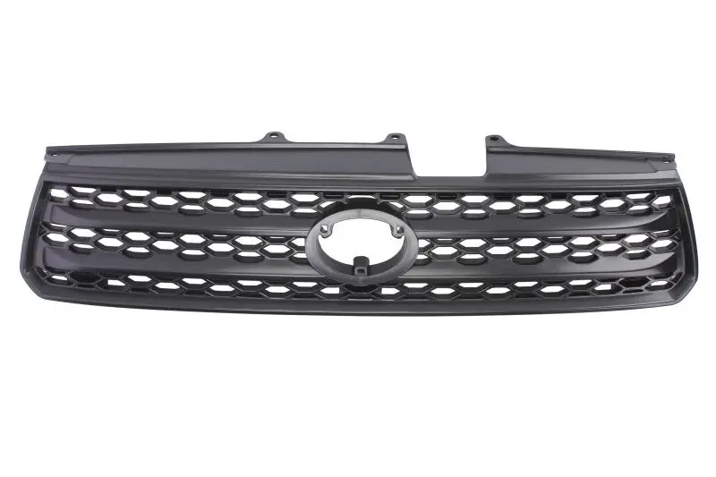 Atrapa (czarny) BLIC – 6502-07-8179993P