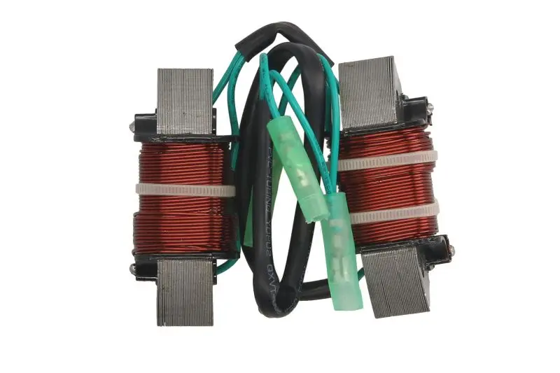 Cewka ładowania PARSUN F8 – F8-05090000W