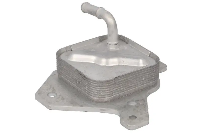 Chłodnica oleju silnikowego NRF – NRF 31317